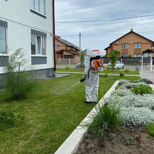 Провести дезинфекцию Анжеро-Судженск