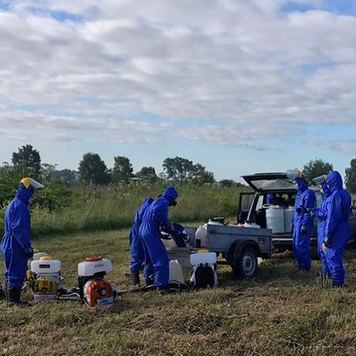 Заказать уничтожение борщевика Моршанск