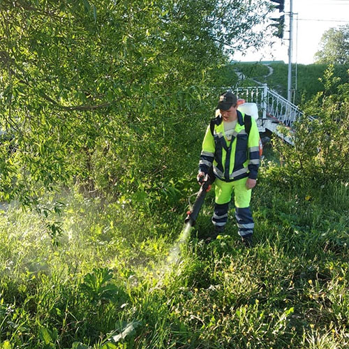 Заказать уничтожение борщевика Будённовск