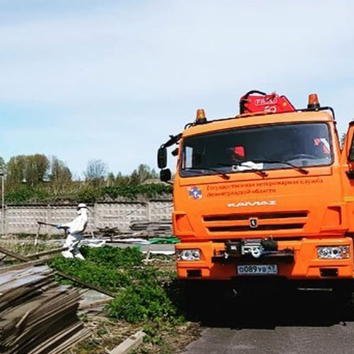 Заказать уничтожение борщевика Солнечногорск